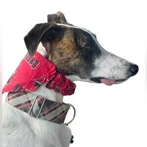 2/$15 Handmade Tampa Buccaneers Red Scrunchie Dog Bandana